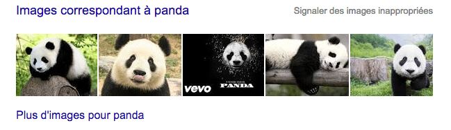 apparaitre sur google en référençant des images
