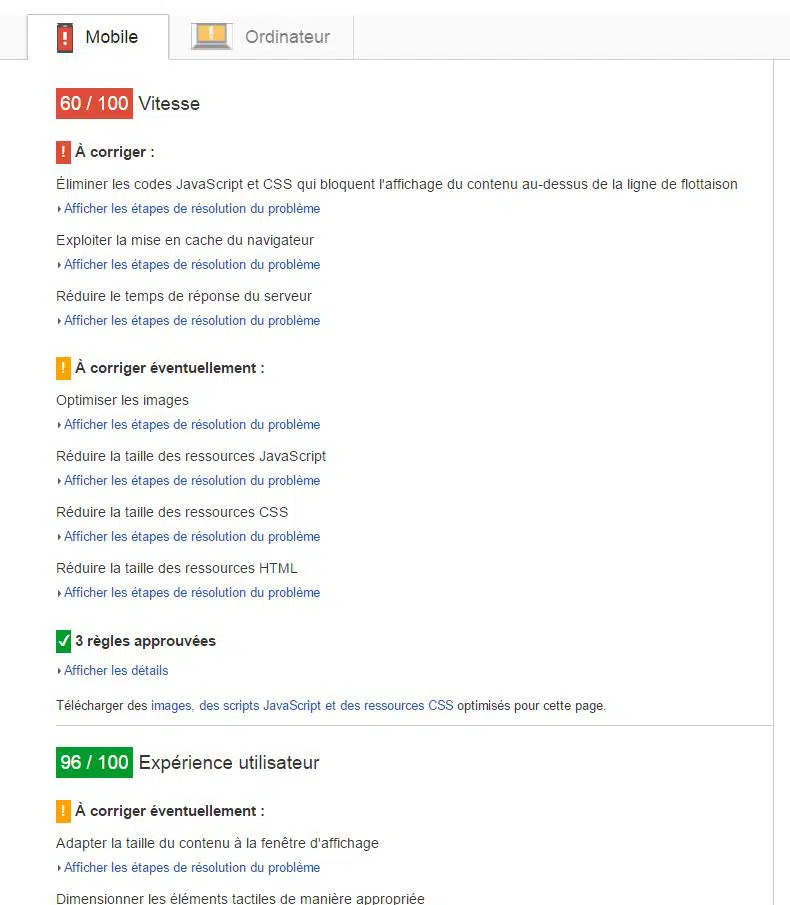 Résultat de Google Page Speed