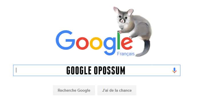 Google opossum