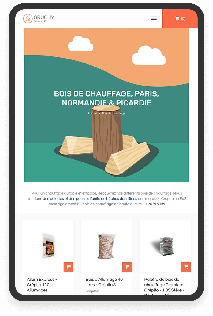 Agence marketing digital Paris, Seo / Google Ads
